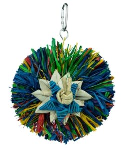 BACK ZOO NATURE RAINBOW STAR